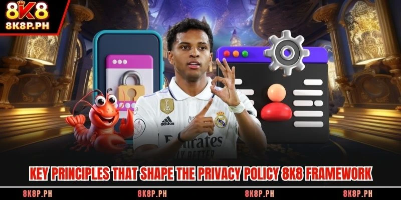 Key principles that shape the privacy policy 8K8 framework